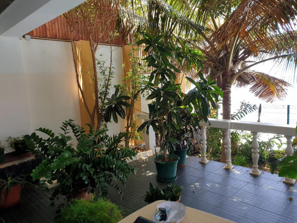 Cactus Guest House Cidade Velha Εξωτερικό φωτογραφία